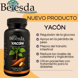 YACON